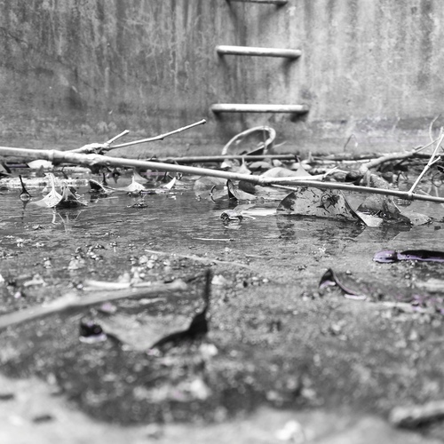 C360_2016-01-23-17-01-48-823