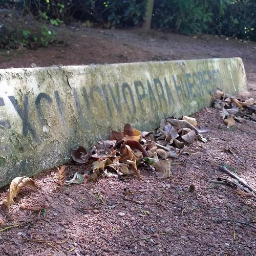 IMG_20171118_092552_955