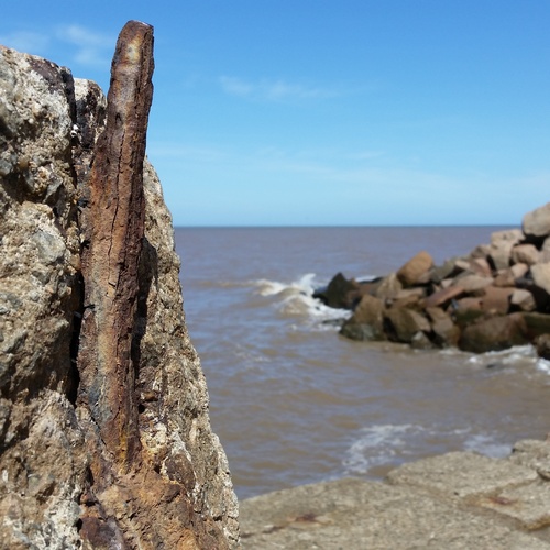 IMG_20170321_142510_446