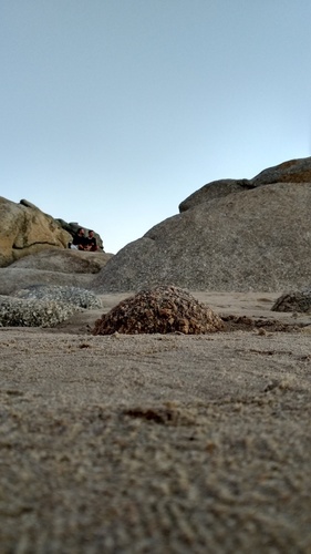 IMG_20190215_193519_resize_71