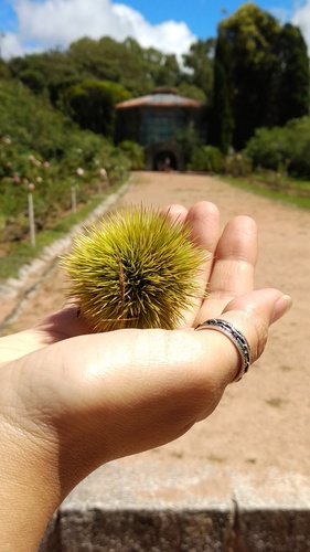 IMG_20190217_121018_resize_87