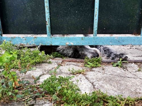 C360_2016-05-27-14-00-10-945