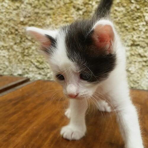 IMG_20180129_123517_998