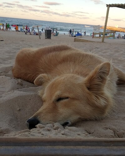 IMG_20190227_093112_101