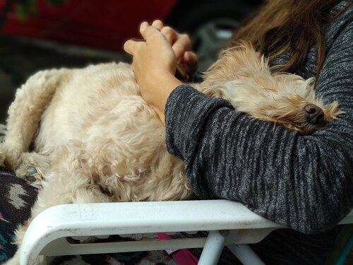 IMG_20190429_100612_216