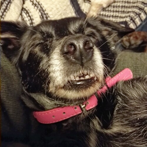 IMG_20190709_095711_973