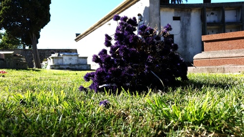 20170704_123336_resize_31