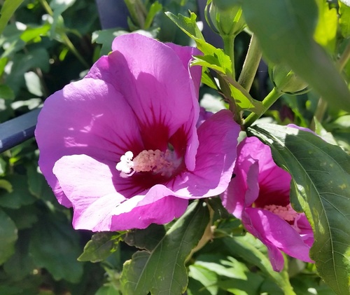 C360_2017-11-23-10-17-47-237_resize_63