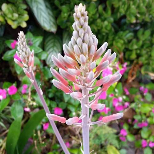 IMG_20171209_120841_292