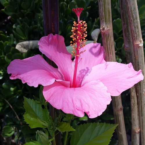 IMG_20180112_232011_664