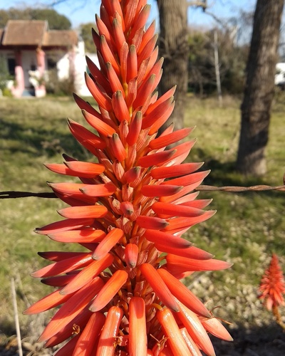 IMG_20180629_155439_610_resize_60