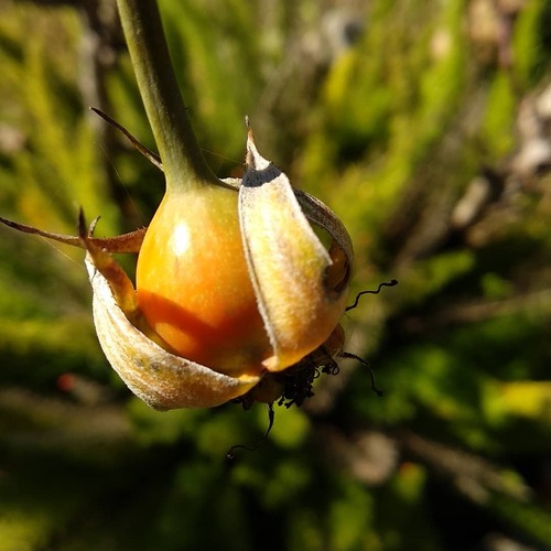 IMG_20180629_211713_302