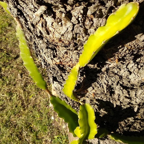 IMG_20180629_211713_308