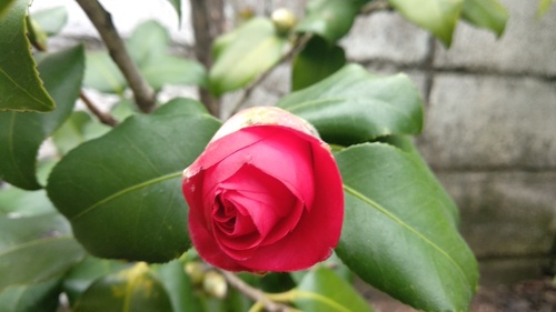 IMG_20180717_144147_resize_6