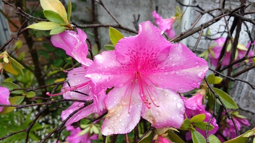 IMG_20181012_132119_resize_60