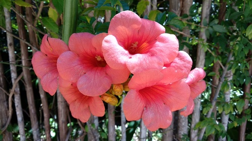 IMG_20190217_130027_resize_58