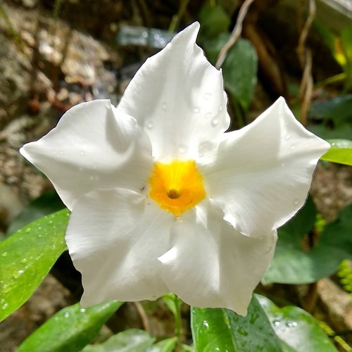 IMG_20190224_105113_615