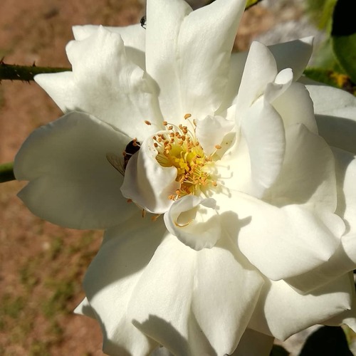 IMG_20190224_105113_622