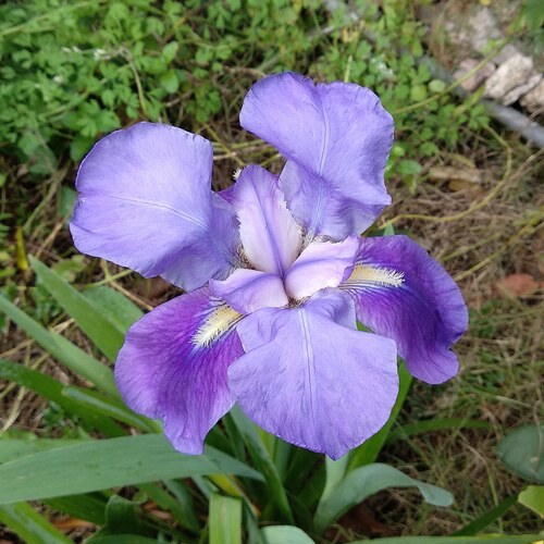 IMG_20190718_125839_204