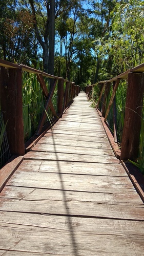 IMG_20190217_123442_resize_83