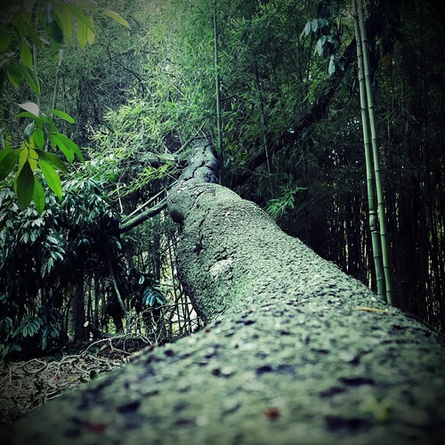 C360_2016-01-23-16-45-03-663_compress46