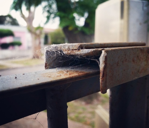 IMG_20170408_113456_933