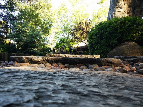 20151017_161805_resize_19