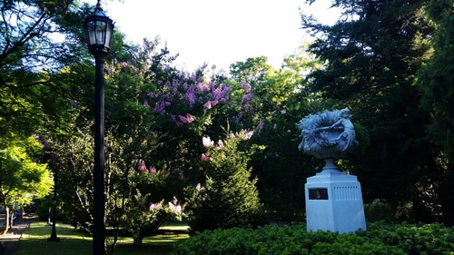 20170121_173912_resize_90