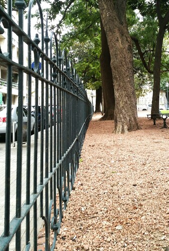 20170628_122441~01~01_compress15