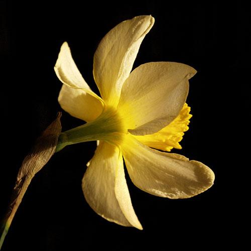 realidades2 realidades2