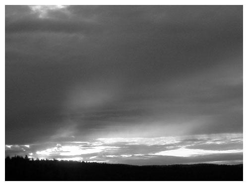 quemando-cenizas quemando-cenizas